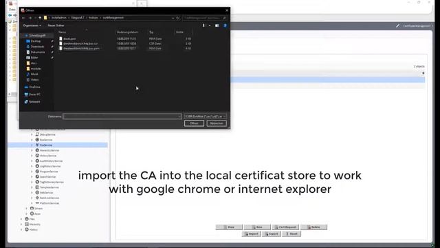 Tridium Niagara 4 OMT 015 - HOW TO Import CA in Windows Certificate Store IE Or Chrome for Niagara смотреть онлайн