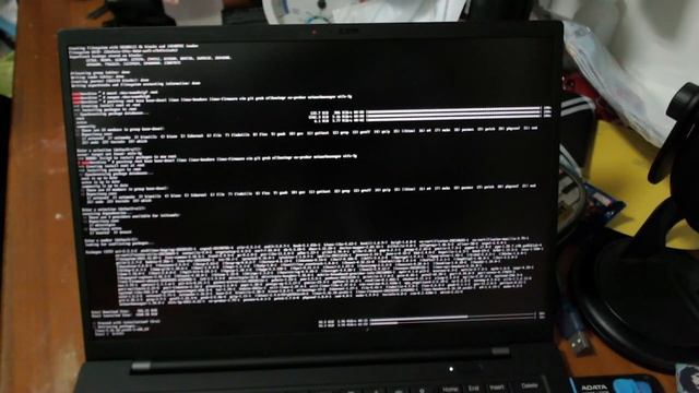 Windows and Arch Linux Installation Speed Run смотреть онлайн