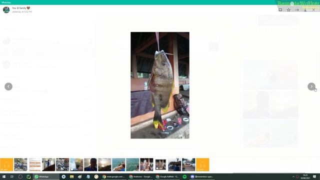 Webinar Apa Itu Remote Worker Indonesia? смотреть онлайн