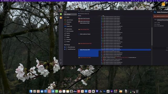 Tutorial Little Snitch on Adobe 2024 смотреть онлайн