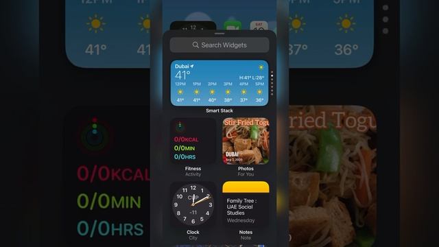 How To Add Widgets On Iphone Home Screen | IOS 14 Software | Iphone XS Max | Ahlyn Biares смотреть онлайн
