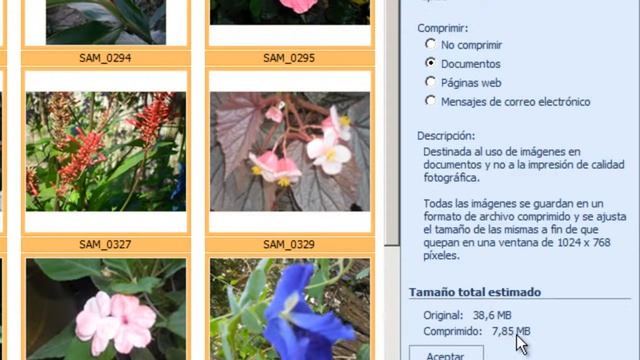Comprimir imagenes en Office Picture Manager 2010 смотреть онлайн