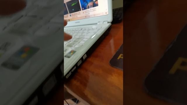 Notebook Toshiba Potege M800