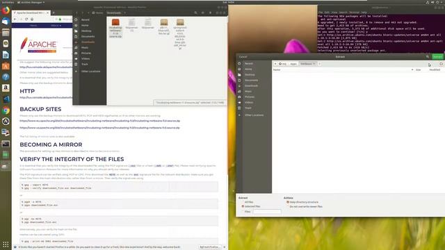 How to Install NetBeans 11 on Linux from Scratch (Tutorial) смотреть онлайн
