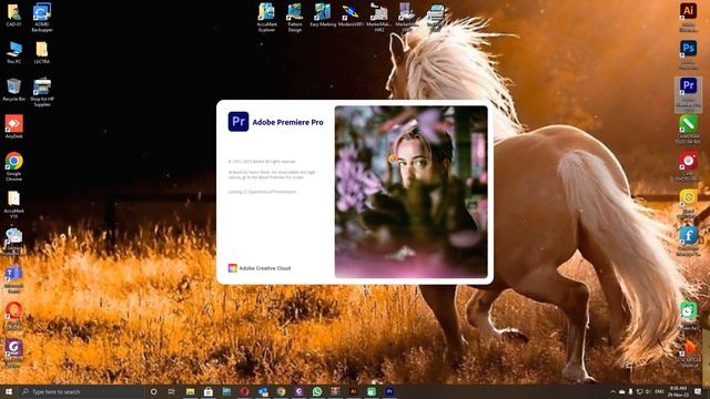 ADOBE MASTER COLLECTION 2024 смотреть онлайн
