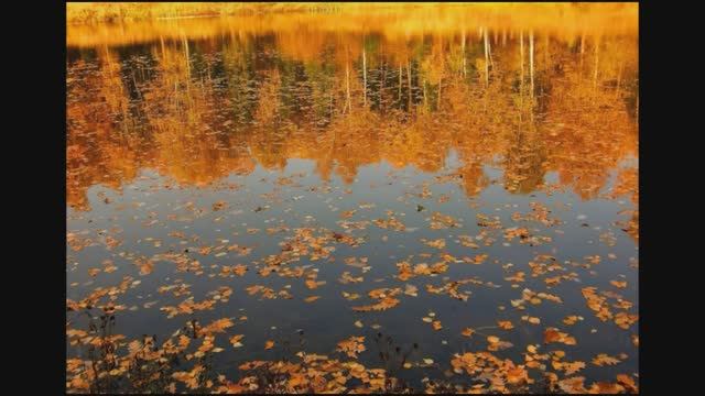 Славная осень! Николай Некрасов. смотреть онлайн
