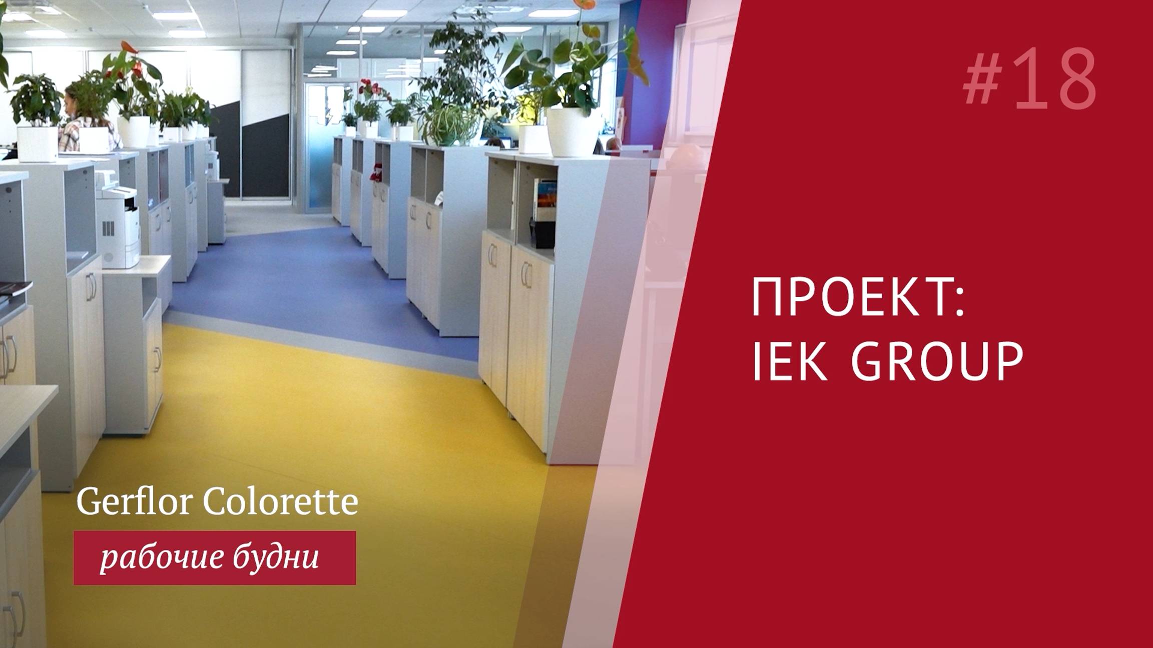 Натуральный линолеум Жерфлор в офисе крупной компании