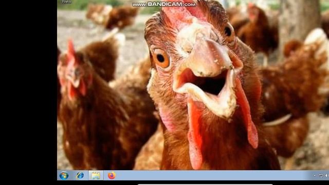 Trying Windows 7 Chicken Edition On 800MB RAM - ISO In Description смотреть онлайн