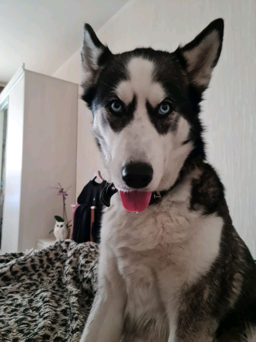 ^•^Ⓥⓐⓢⓘⓛⓘⓢⓐ  ⓝⓞⓧ