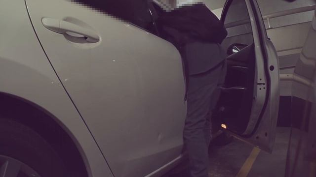 Tesla Model 3 Sentry Mode springs car thief breaking into car next door смотреть онлайн