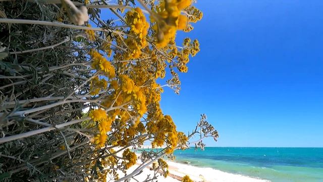 🇧🇬 На пляже только мы! Oasis Boutique Hotel,Riviera Holiday Club.Varna.Golden Sands. Bulgaria. OK-T смотреть онлайн