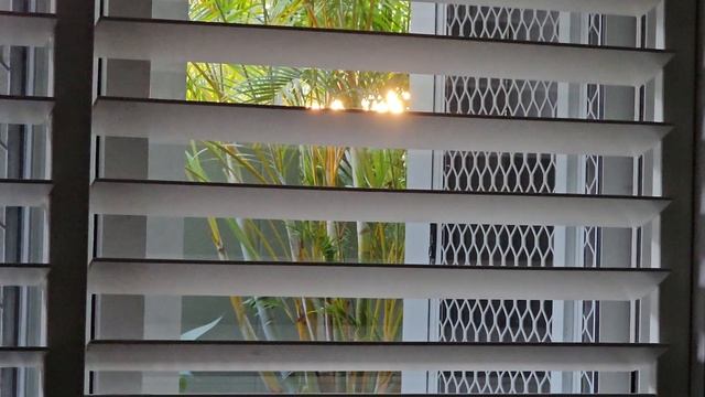 good morning enjoy-disabled demons permanent bender methhead frequency low energy scary смотреть онлайн