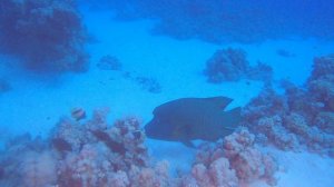 Новый проект 0923