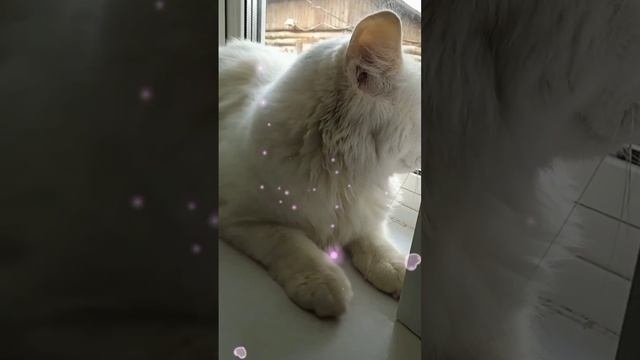 Милашка смотреть онлайн