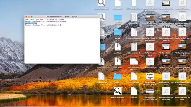 How to Set Up Localhost/Apache on MacOS смотреть онлайн