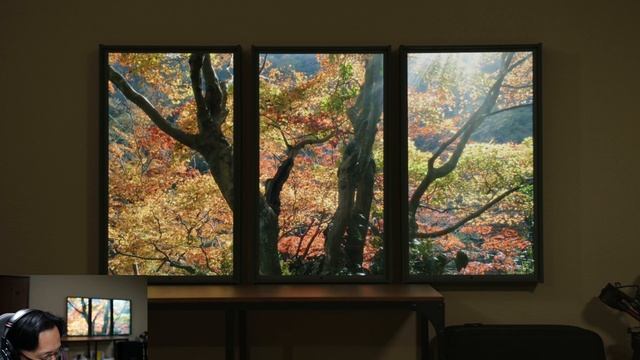嵐山の紅葉 アトモフウインドウ(arashiyama autumn leaves atmoph window kyoto) смотреть онлайн