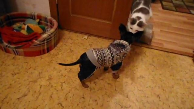 Контроль доступа )) смотреть онлайн