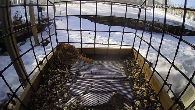 2019-03-18 window смотреть онлайн