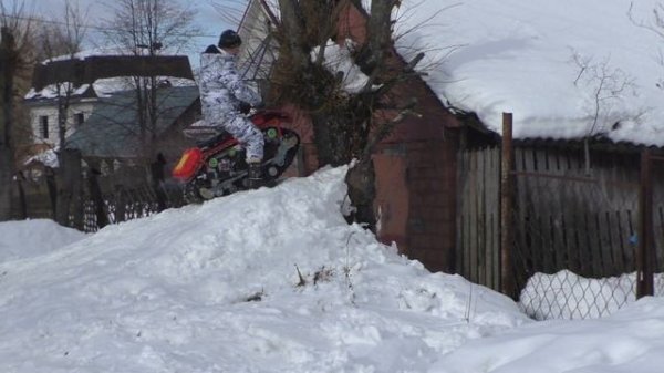 Быстросьеб заехал на дерево