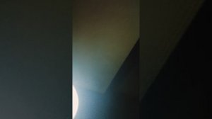 VID20241020190245.mp4