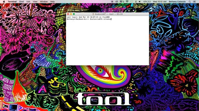 Ping and nslookup on a Mac. смотреть онлайн