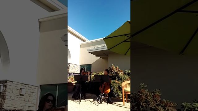 Largo from "Winter", Vivaldi. Violin and cello duo Freeway Strings смотреть онлайн