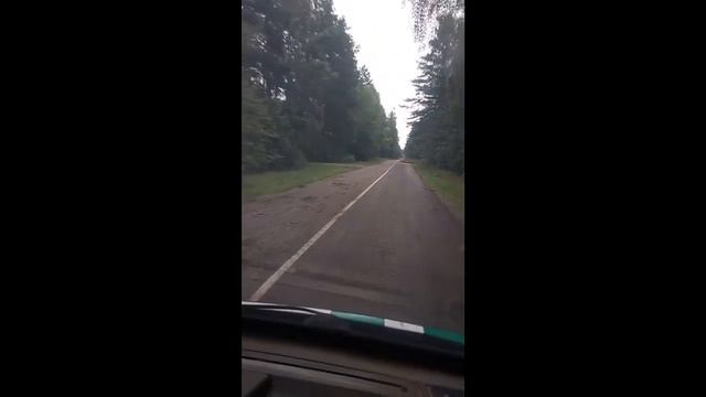 Наслідки буревію на автошляху Корюківка - Холми смотреть онлайн