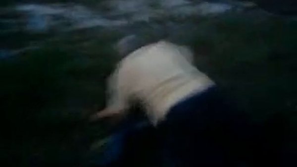 Тёлки деруться