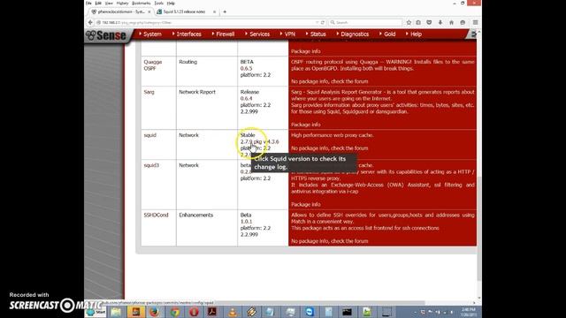 Installing and Configuring the Squid Proxy in pfSense смотреть онлайн