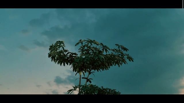 Ramadhan kareem 2024 cinematic, shoot with ipad mini 6 camera (4k 60fps) смотреть онлайн