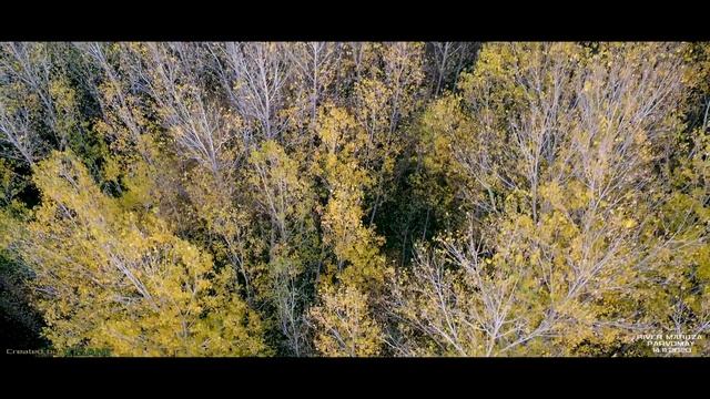 First Fly with DJI MAVIC MINI / DJI FLY APP смотреть онлайн