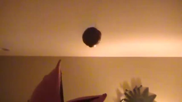 Puppet Albert Eats A Floating Apple смотреть онлайн