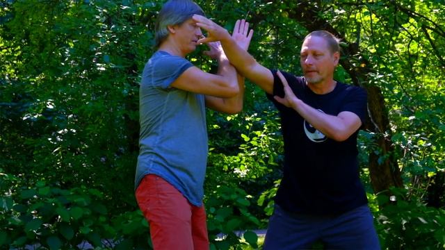 ТАЙЦЗИЦЮАНЬ, ЛОГИКА ПРИМЕНЕНИЯ 6 смотреть онлайн