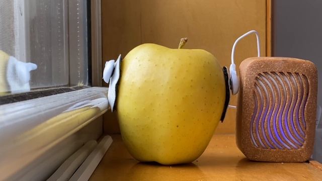 (2) Plantwave golden delicious apple 528 hz frequency meditation relaxation смотреть онлайн