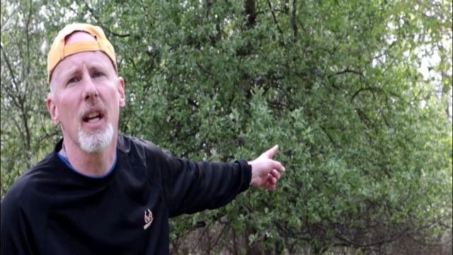 tug episode 4 apples and spraying take three смотреть онлайн