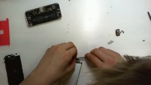 iPhone 5S замена дисплея #29411 смотреть онлайн