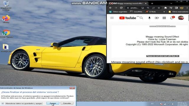 Meggy moaning Has BSOD (Windows 7 Ultimate (x64) (64-bit)) смотреть онлайн