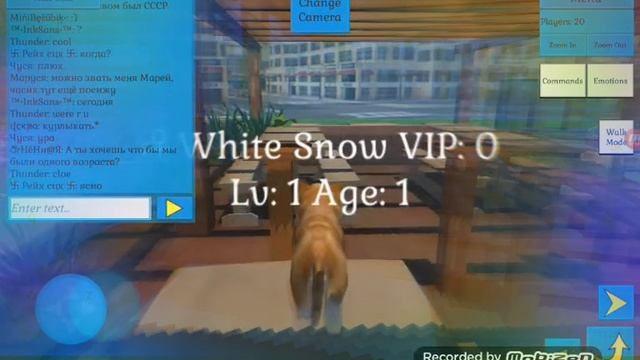 Playing cute pocket cat & puppy 3D in the morning смотреть онлайн