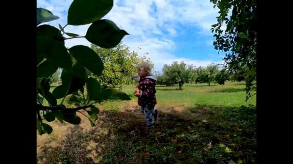Eva and Milana have fun and pick apples at Apple Orchard-CherryHawk Farm in Marysville Ohio