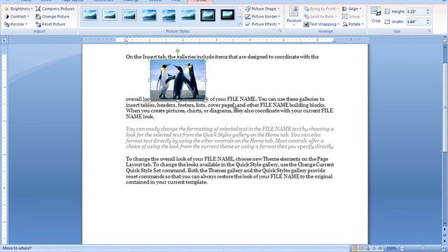 MS Word Lecture| microsoft office picture manager смотреть онлайн