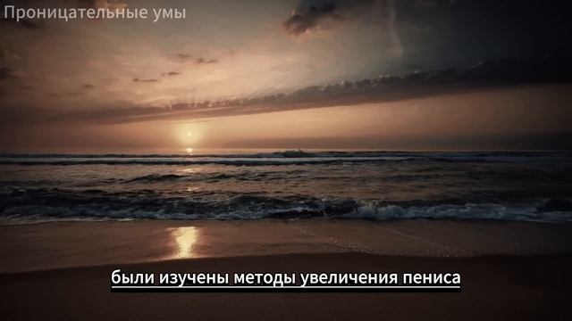 Психология человека Поведение смотреть онлайн