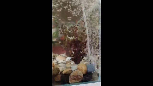 Приколы из ТГ 47 смотреть онлайн