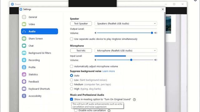 Setting up Audio for Zoom Musical Performance смотреть онлайн