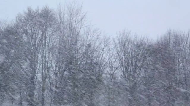 1 HOUR Snow Blizzard Wind Sound смотреть онлайн