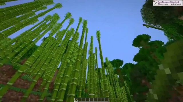 Carrots Library [FORGE] Mod 1.16.5/1.15.2/1.12.2 & How To Download and Install for Minecraft смотреть онлайн