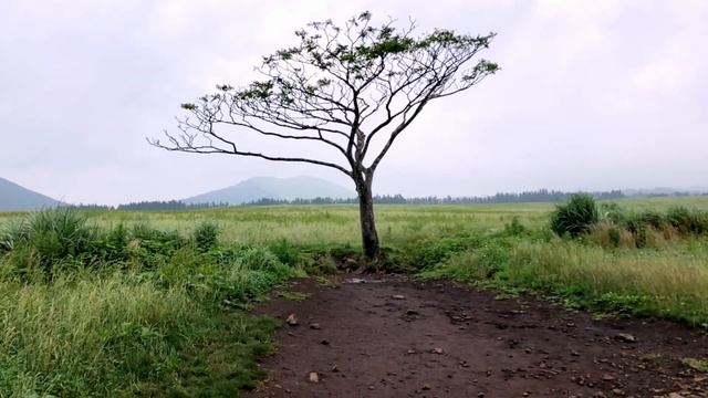 iPhone 8: Jeju, South Korea 2021 смотреть онлайн
