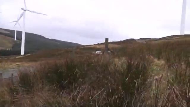 Wilson Rally GB 2010 смотреть онлайн