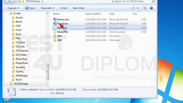 Move the files fileold.txt and fileold.doc from the TEST4UFolder folder on your desktop to the... смотреть онлайн