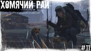 #11 Хомячий Рай | DayZ | The Twilight Zone |  #survival  #dayz