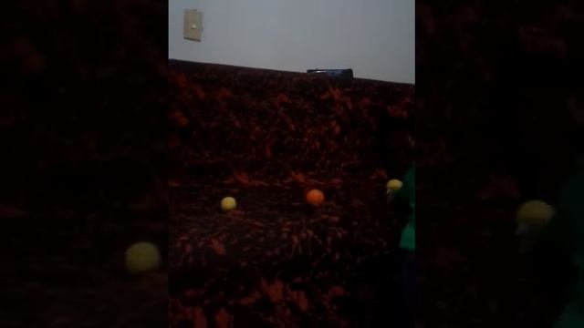 CLASES DE BILLAR INFANTIL смотреть онлайн